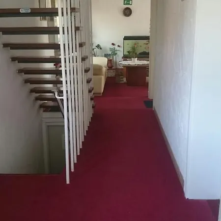 Guest house Citypension 2*